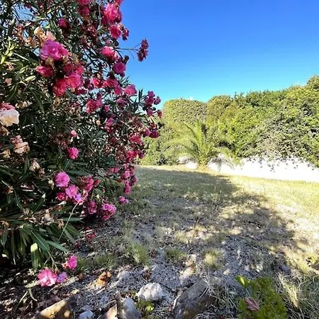 Cisto - Giardino E Vista Sul Golfo Di Bosa * Magomadas