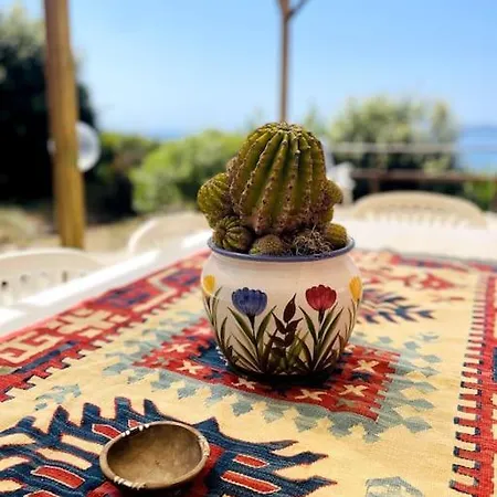 Cisto - Giardino E Vista Sul Golfo Di Bosa Vila