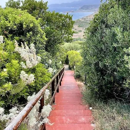 Cisto - Giardino E Vista Sul Golfo Di Bosa *