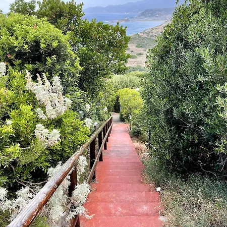 Cisto - Giardino E Vista Sul Golfo Di Bosa