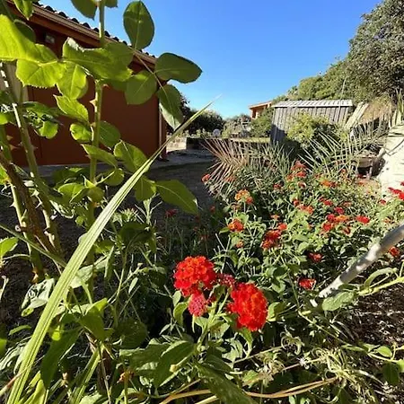 Cisto - Giardino E Vista Sul Golfo Di Bosa Vila *